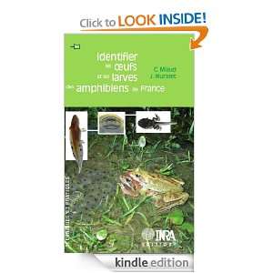 Identifier les oeufs et les larves des amphibiens de France 