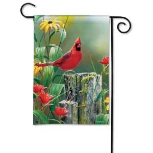   Polyester Summer Cardinal Garden Flag, Fade and Mildew Resistant