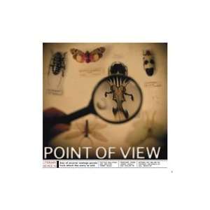 Point of View Poster