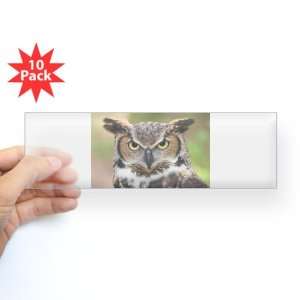  Bumper Sticker Clear (10 Pack) Great Horned Owl 