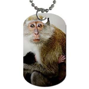  Monkey Dog Tag with 30 chain necklace Great Gift Idea 