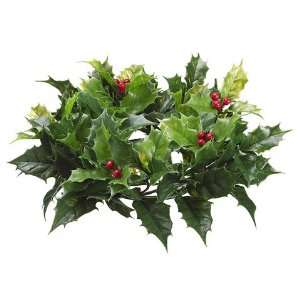  Faux 4 Plastic Holly Candle Ring w/Berries Two Tone Green 