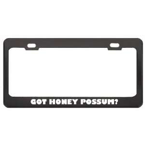 Got Honey Possum? Animals Pets Black Metal License Plate Frame Holder 
