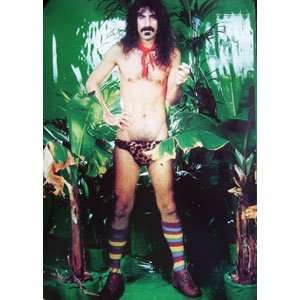  Frank Zappa   Posters   Import