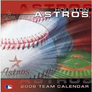 HOUSTON ASTROS 2008 MLB Daily Desk 5 x 5 BOX CALENDAR  