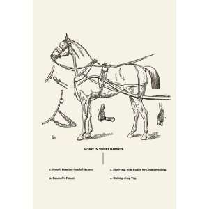  Single Harness Horse 28x42 Giclee on Canvas