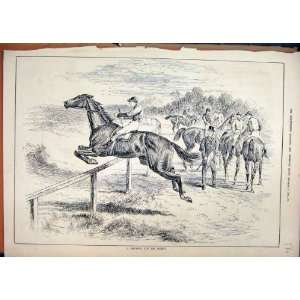 Horse Jumping Running Away Jockey 1883 Old Print 