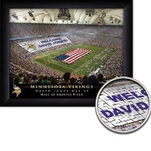  Minnesota Vikings Personalized Framed Stadium Print 