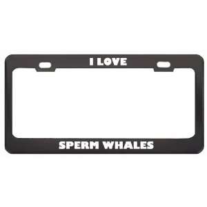  I Love Sperm Whales Animals Metal License Plate Frame Tag 