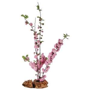  Ikebana Vase for Buddhist Flower Arrangement Meditation 