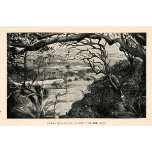  1902 Print Inja Ka Fura Africa Tennyson Cole Jungle 