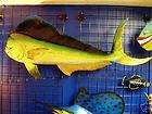Mahi Dorado Dolphin fish Mount art nautical decor sculpture wall 