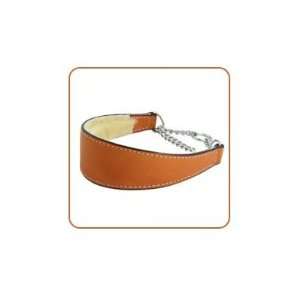  Tan Leather Martingale Dog Collars 16