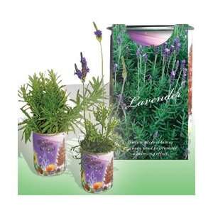  The Patent Magic Herb  Lavender Patio, Lawn & Garden