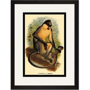  Black Framed/Matted Print 17x23, Everetts Langur