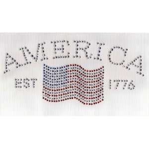   and Flag Iron On Hot Fix Transfer Rhinestone    Clear Red and Blue