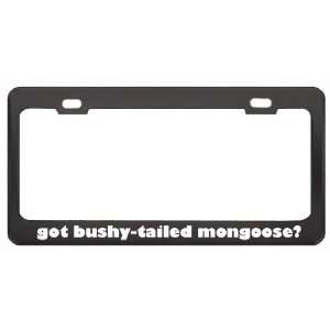Got Bushy Tailed Mongoose? Animals Pets Black Metal License Plate 