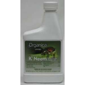  16 Ounce K Plus Need Insct / Fng Conc   Part # 41904 