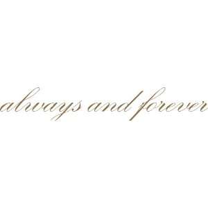 Always & Forever Quotation   Vinyl Wall Decal
