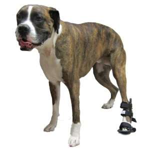  Walkin Wheels Rear Leg Dog Splint Size Medium Pet 