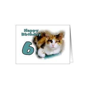  Happy 6th Birthday, Calico Cat Card Toys & Games