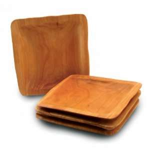  Root Wood Square Platter Set of 4 (Brown) (1H x 10.6W x 