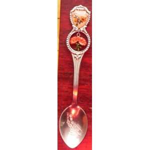  California Souvenir Spoon Chrome with Brass Charm in Gift 