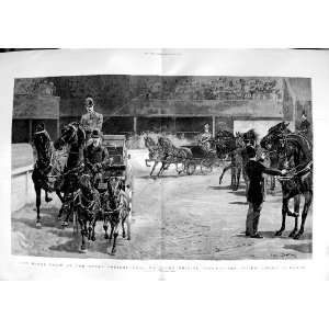  1891 Horse Show Royal Agricultural Hall Pairs Fine Art