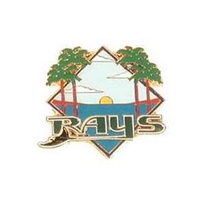  Tampa Bay Devil Rays City Pin by Aminco