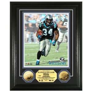  Carolina Panthers DeAngelo Williams 24KT Gold Coin Photo 