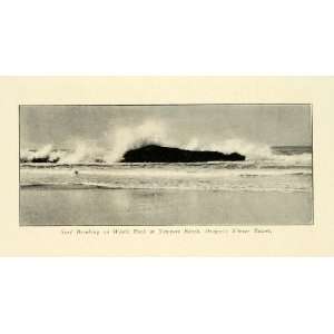  1906 Print Whale Rock Newport Beach Oregon Water Resort 
