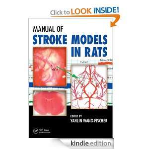 Manual of Stroke Models in Rats YANLIN.WANG. FISCHER, Yanlin Wang 