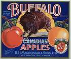 BUFFALO Vintage Canadian Apple Crate Label, Canada