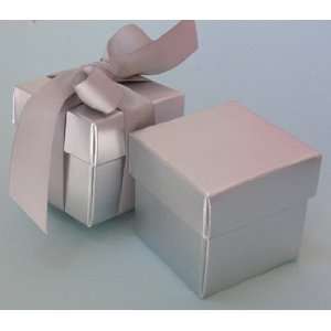  Silver Favor Boxes With Ribbon   Set of 10 Health 