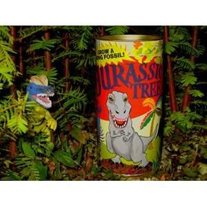  Jurassic Tree   Dawn Redwood Grow Kit