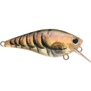  FAT CB BDS MARTY JAPAN CRAW