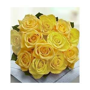 Passion for Yellow Roses, 12 24 Stems Grocery & Gourmet Food