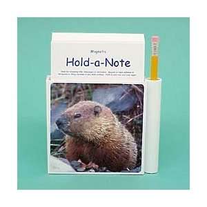 Groundhog Hold a Note Patio, Lawn & Garden