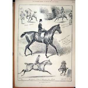 1887 Islington Horse Show Stallion Hunter Featherweight 
