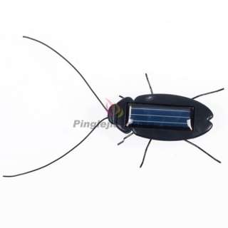 Black Solar Power Energy Cockroach Bug Toy Children GA008 H 　