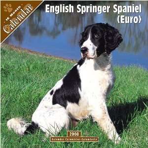    English Springer Spaniel (Euro) 2008 Wall Calendar