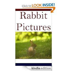 Rabbit Pictures [Kindle Edition]