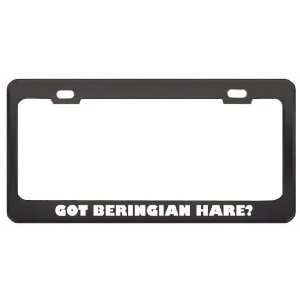  Got Beringian Hare? Animals Pets Black Metal License Plate 