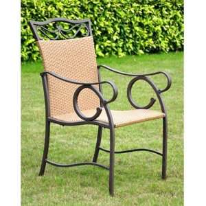 Valencia Resin Wicker / Steel Set of 2 Chairs (Matte Brown) (39H x 23 