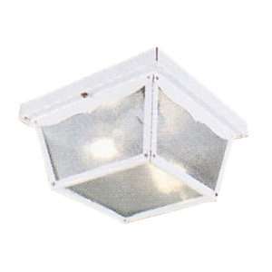Livex 7502 03 Outdoor Basics 2 Light Outdoor Ceiling Lights in White