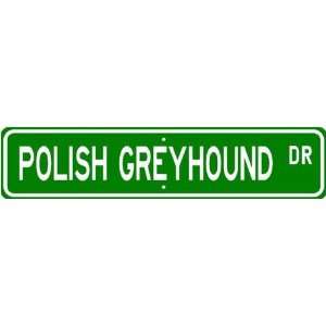  Polish Greyhound STREET SIGN ~ High Quality Aluminum ~ Dog 