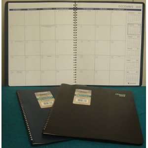  TL260 10 Mead 2010 Monthly Planner 8 1/2 x 11 Office 