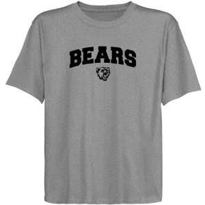 NCAA Bridgewater State Bears Youth Ash Logo Arch T shirt  