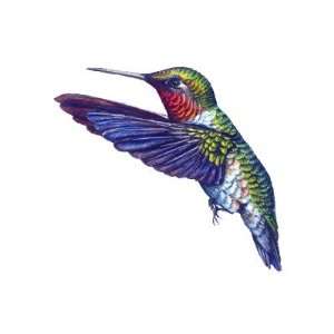 Ruby Throated Hummingbird Stickers Arts, Crafts & Sewing