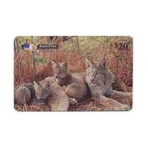  Collectible Phone Card $20. Canada Lynx (Mother & Child 
